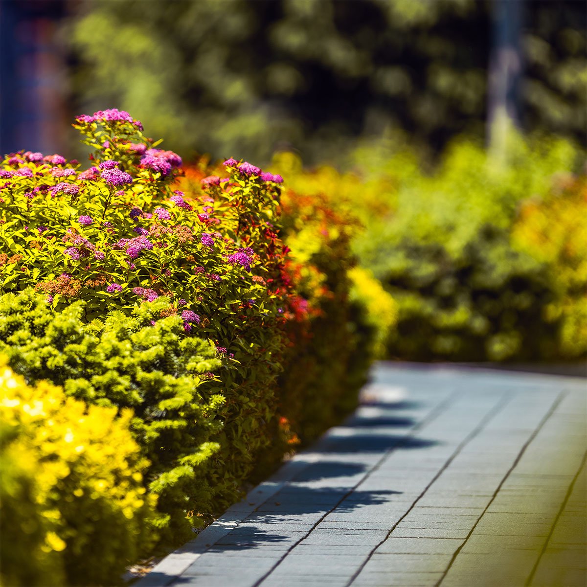 Jardinería de conjunto residencial